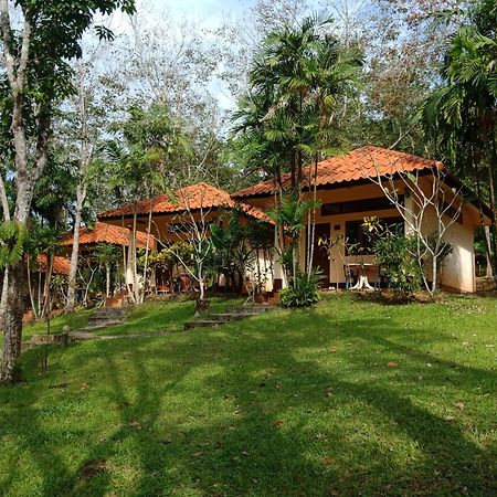 Koh Mook Rubber Tree Bungalows Kültér fotó