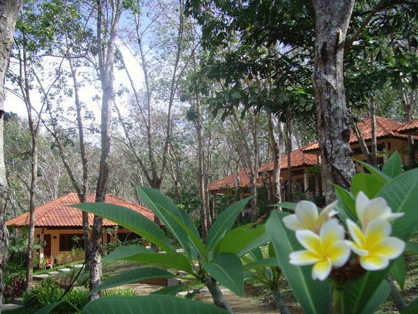 Koh Mook Rubber Tree Bungalows Kültér fotó